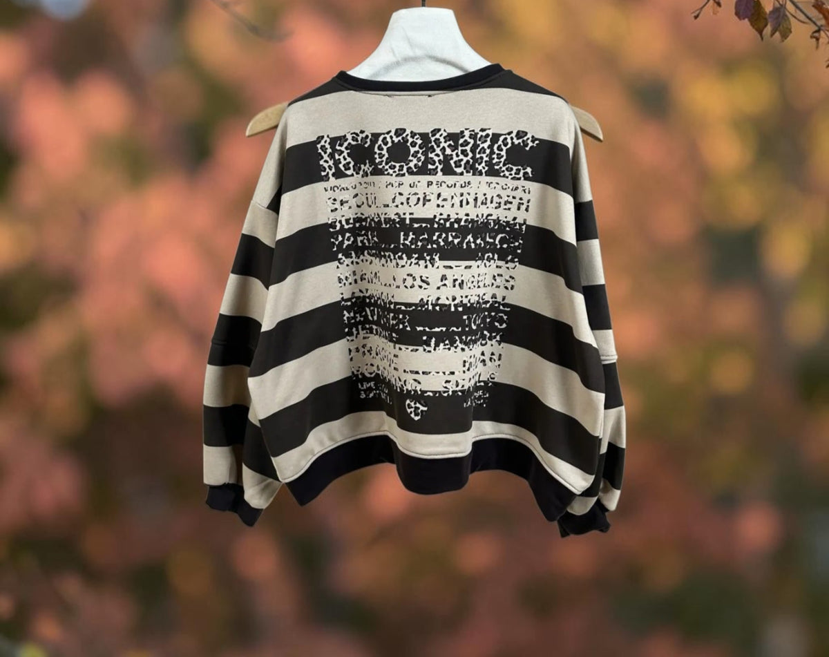 Sweat Iconic rayé. Beige/choco