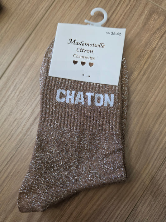 Chaton brun